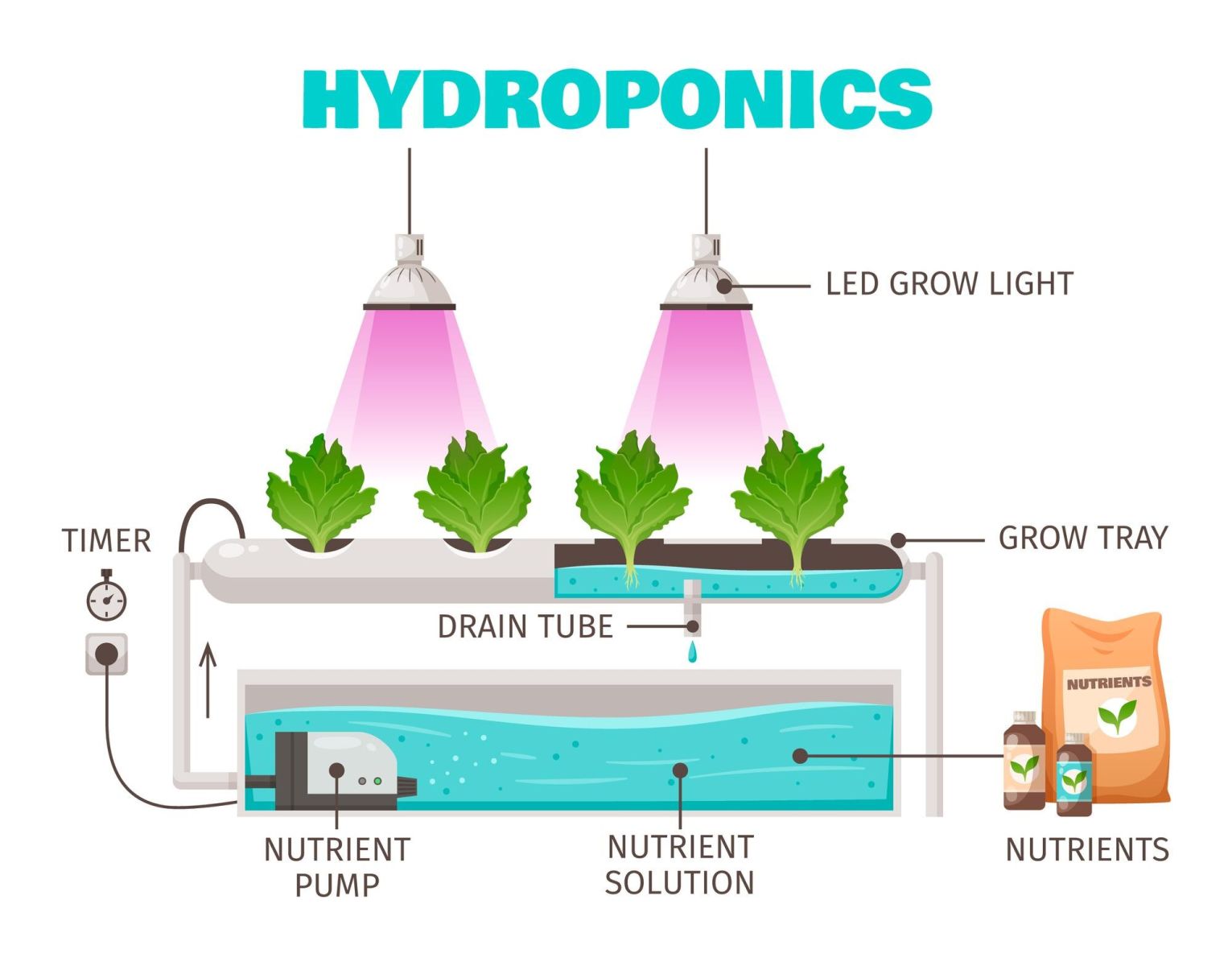 Hydroponic nutrient system diagram