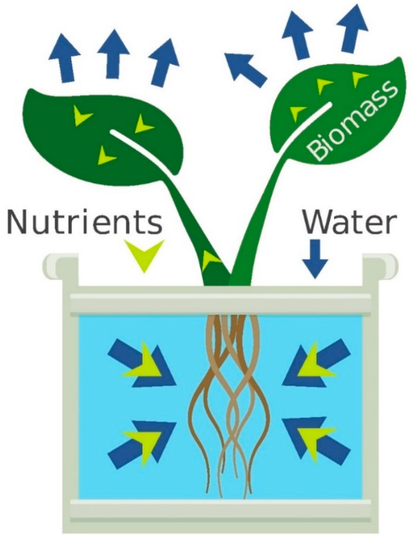 Plant nutrient absorption diagram
